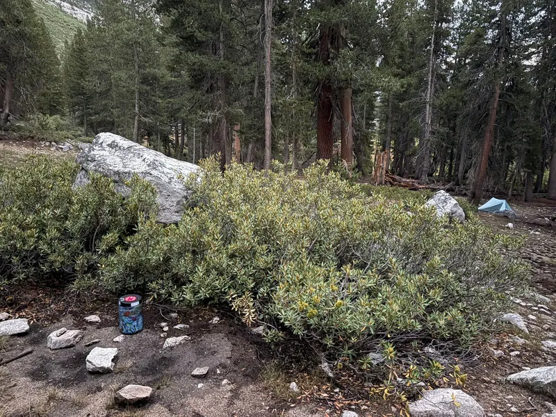 Campsite at Big Pete Meadow.