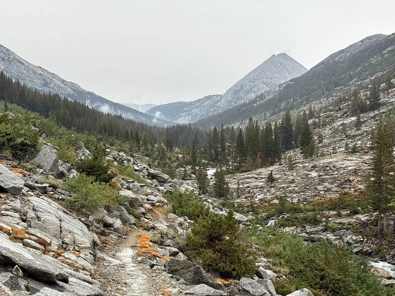 Hutchinson Meadow off in the distance.