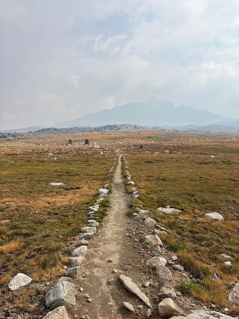 My favorite section.