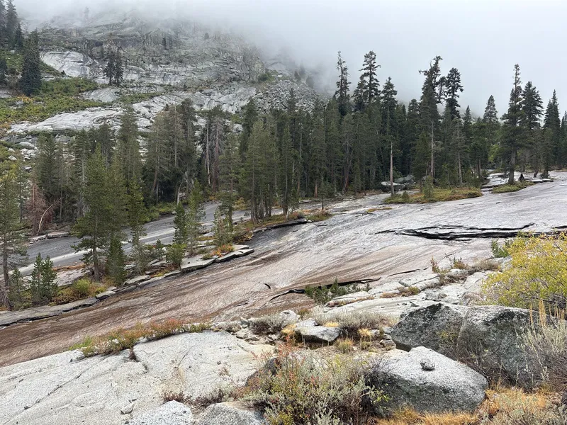 Creek flowing over granite. This seems to be a common sight in Kings Canyon.