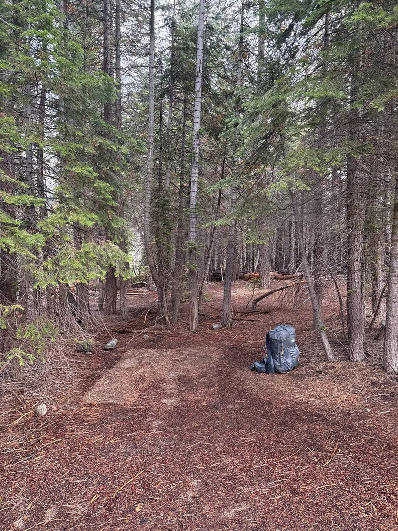 1st night's campsite. I forgot to take a photo before breaking camp, but you might be able to guess where the tent was.