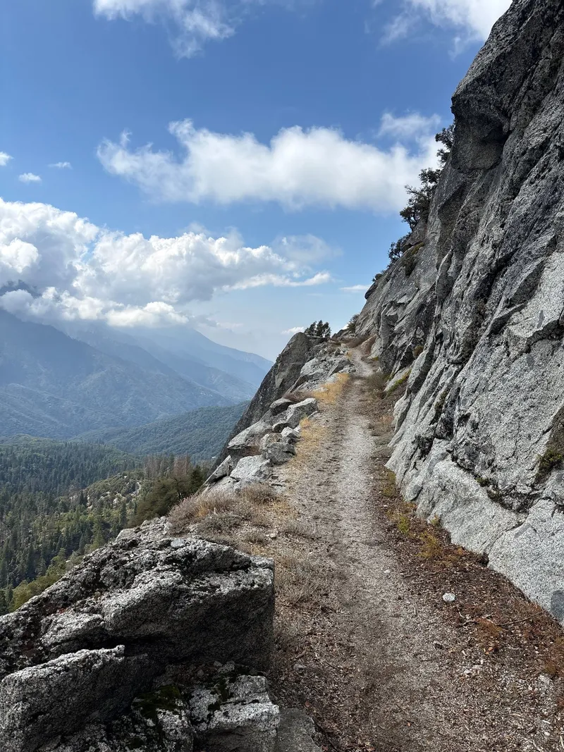 Climbing the Sierra Trail.