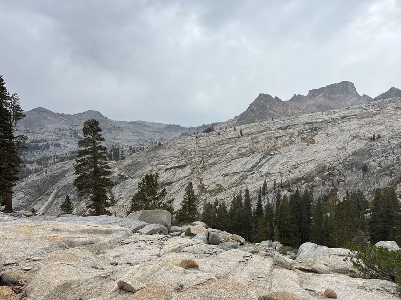 View after cresting the top of Silliman Pass heading north.